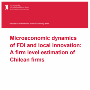 Microeconomic dynamics of FDI Cover